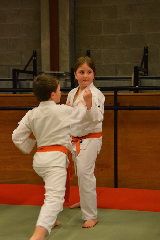 stage Jérémy 01.2015