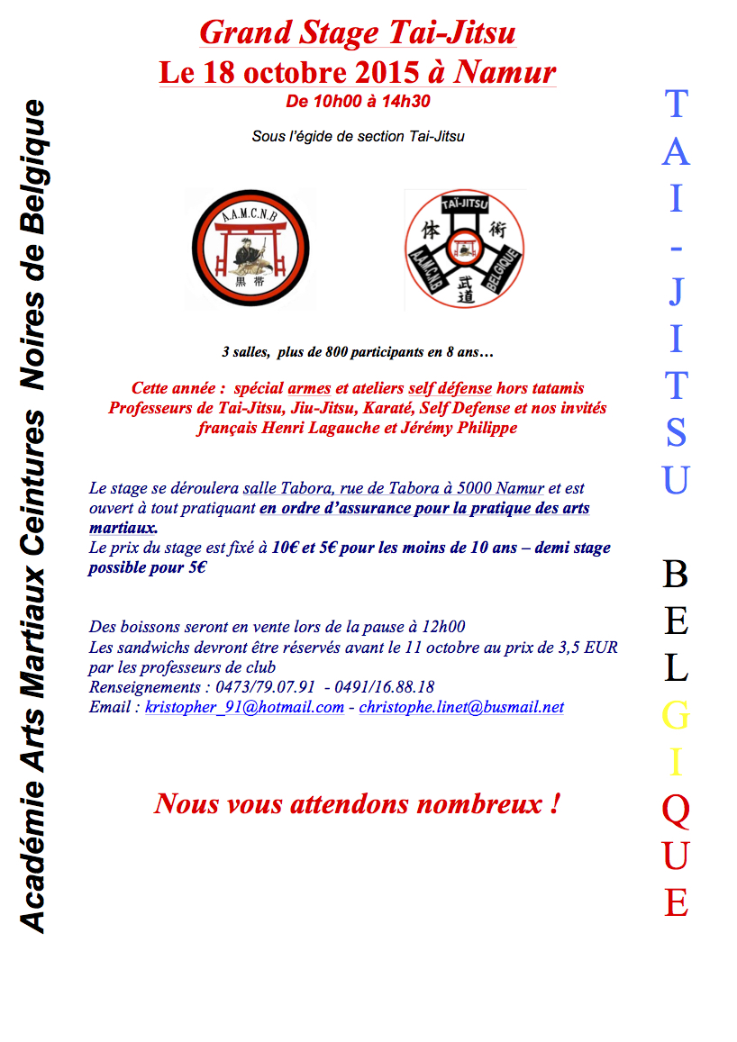 Affiche stage 2015